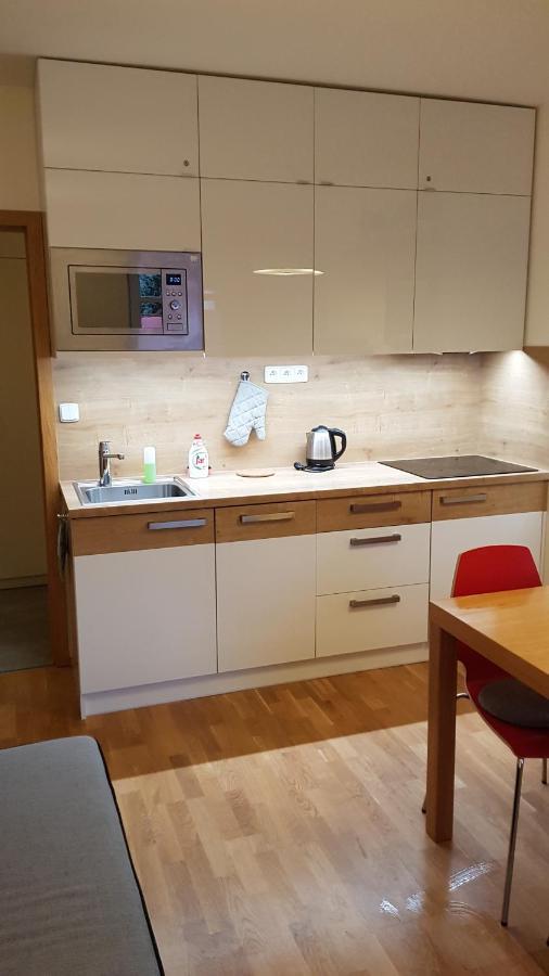 Rokytka Apartman 217 Рокитнице над Ийзероу Екстериор снимка